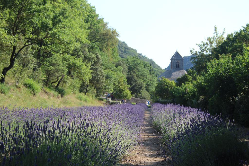 Le Mazet Du Domaine Villa Gordes Exterior photo